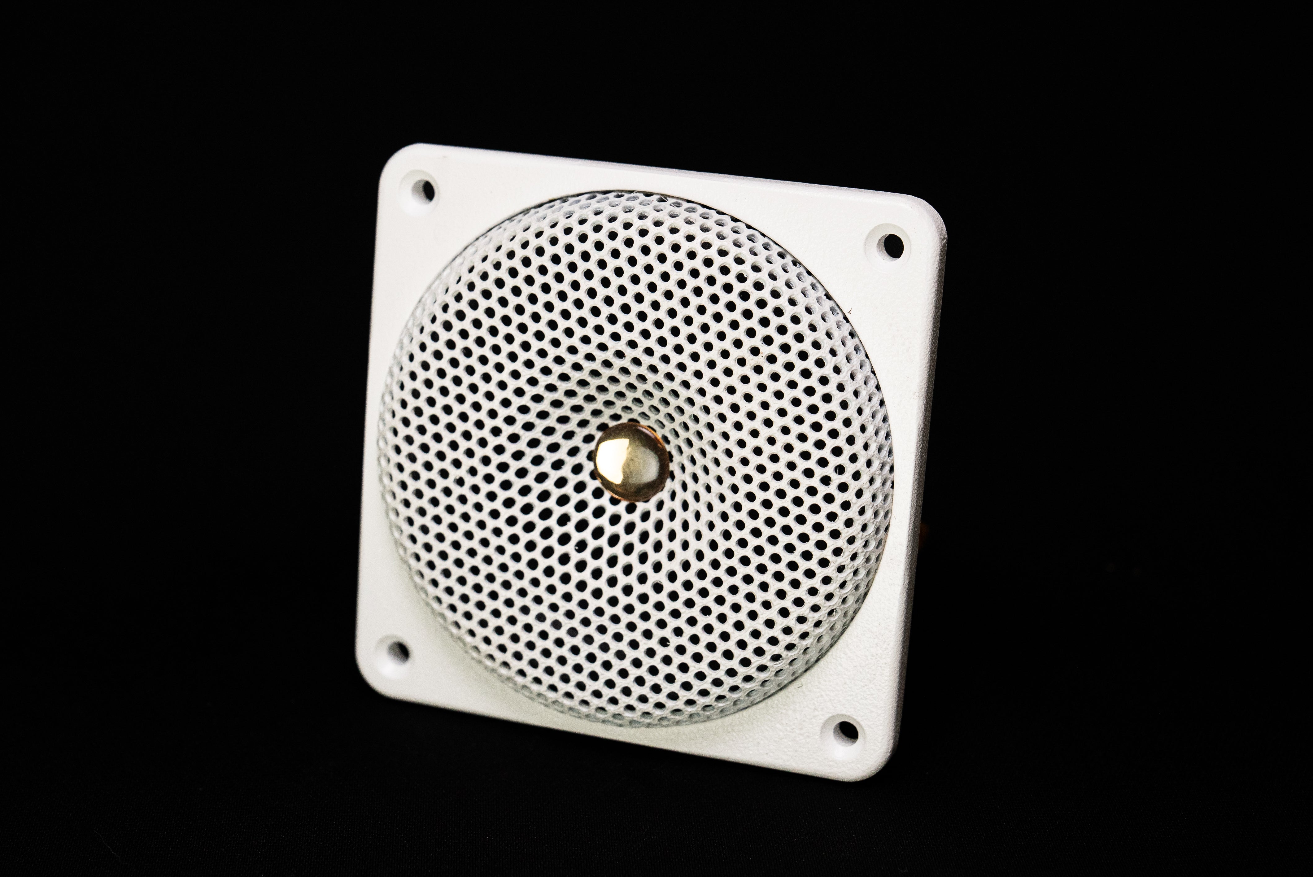 DC GOLD white marine speaker N4 classic 