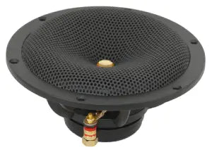 Speaker driver with a black grill on a white background
